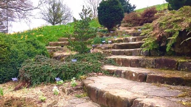 Альпинарий | примеры для вдохновения смотреть онлайн