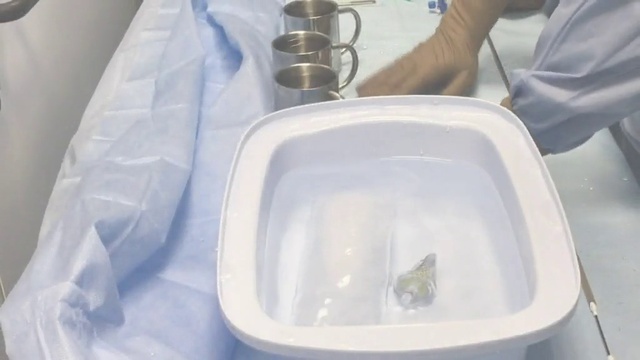 Rutube_account_1436603