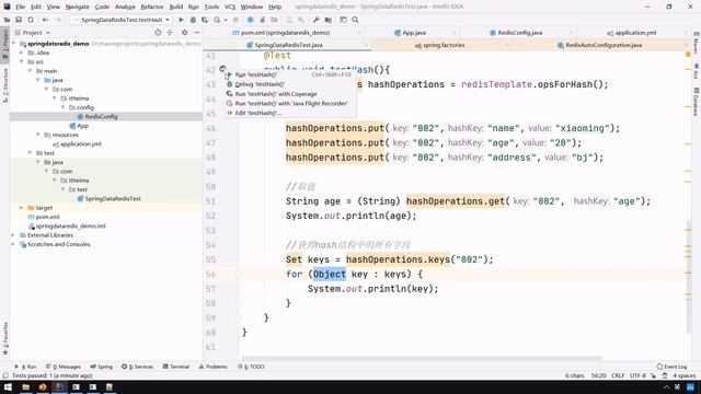 【黑马程序员】Java《瑞吉外卖》企业级项目实战-Redis课程-12-使用Spring Data Redis操作Redis-数据类型操作1 смотреть онлайн