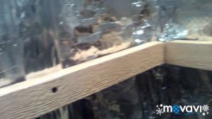 Обшивка парной вагонкой.