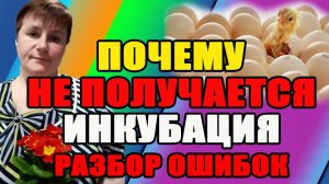 Почему НЕ ПОЛУЧАЕТСЯ инкубация. Разбираем основные ошибки.