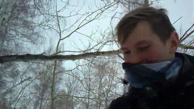 Прогулка по лесу смотреть онлайн