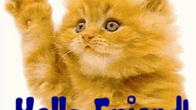 котик🐱 смотреть онлайн