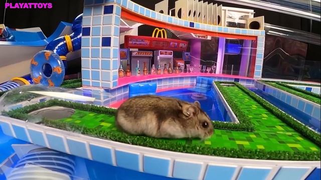 ?MEGA HAMSTER RACE ? maze with Traps hamster? Minecraft Maze смотреть онлайн