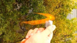 Мини ветрогенератор (ветряк) на генераторе постоянного тока - для зарядки смартфона