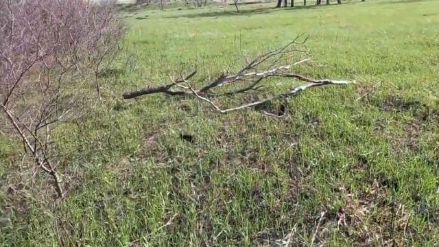 УЕХАЛИ ЗА 250 КМ / НАШЛИ РЕЛЬСЫ / ПРИШЛОСЬ НОЧЕВАТЬ смотреть онлайн