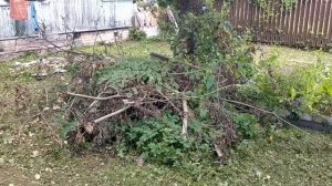 Способы куда девать ветки с участка.