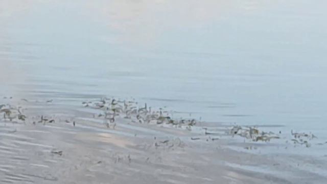 Казань, Набережная, центр города #Kazan смотреть онлайн