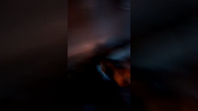 Моя котельна.Котел Донтери ДТМ 24квт. 11/2 смотреть онлайн