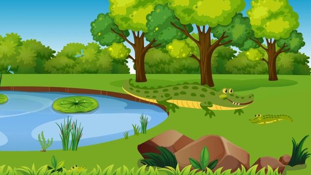 Аллигатор | Животные от А до Я | Видео для детей / Alligator | Animals | Video for children смотреть онлайн