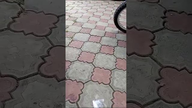 BSE Z3 флейта в глушитель смотреть онлайн