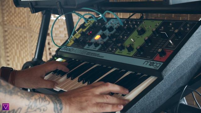 Moog Grandmother Synth jam: So much for Subtlety смотреть онлайн