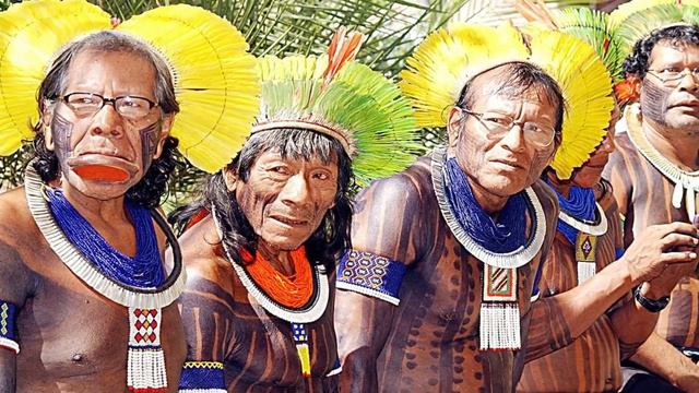Amazing Facts About Amazon Forest, Rain Forest, Amazon Forest Fire In Hindi смотреть онлайн
