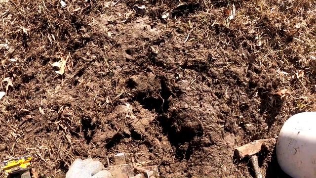 ADC JOB: TRAPPING NEST RAIDERS, DAY 1. (S4 Ep 24) смотреть онлайн