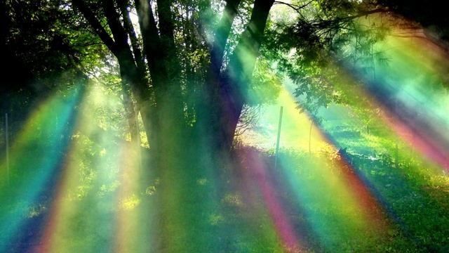 Быт в мире Пятого измерения. Как вы можете уже сейчас начать использовать эти знания