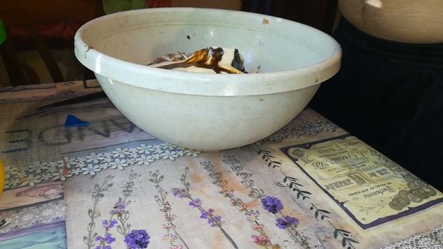 Гараж и Мастерская