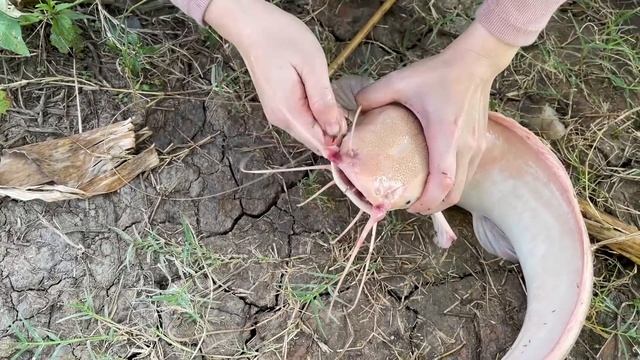 Amazing Fish Trap With Pirarucu!