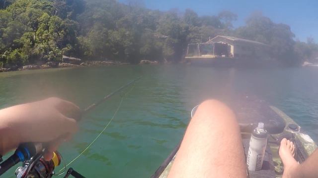 Sydney Kayak Fishing Open 27.10.19 смотреть онлайн