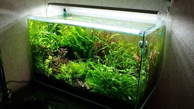 Обзор светодиодного светильника CHIHIROS А 601 смотреть онлайн