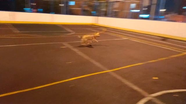 игры с моний смотреть онлайн