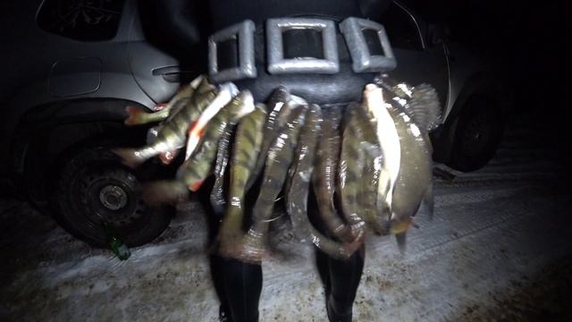 Это что за бабуин? смотреть онлайн