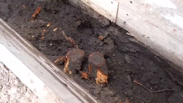Фундамент. Подготовка и заливка. Опалубка. Простой способ. смотреть онлайн