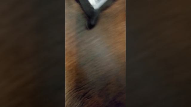 первое видео на канале с обзором снастей смотреть онлайн