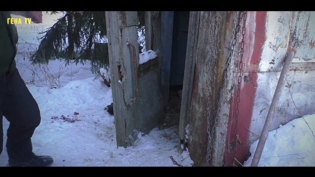 ВЗЯЛИ БЕЗДОМНУЮ СОБАКУ К НОВОМУ ХОЗЯИНУ . ПРОГУЛКА С БИМОМ В НОВОЙ ДЕРЕВНЕ ! смотреть онлайн