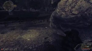 S.T.A.L.K.E.R. - Время Альянса 3 - Связь времён. #49. Цветок жизни для Белого Волка