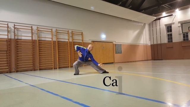Тайцзицюань (Tai Chi Inner Energies) смотреть онлайн