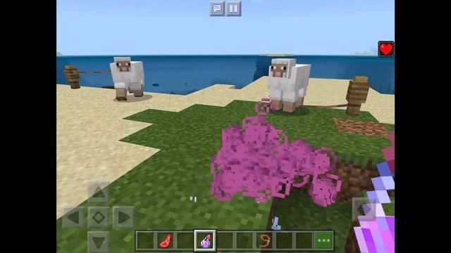 HOW TO TRAIN YOUR DOG TO NOT ATTACK YOUR ANIMALS AND PETS IN MINECRAFT! PE, JAVA, XBOX ALL VERSION смотреть онлайн
