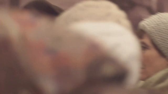 Церковно-археологический музей Новоспасского монастыря вновь открыл свои двери для посетителей смотреть онлайн