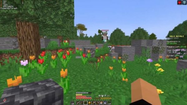 Best weapon on Hoplite Minecraft Battle Royale Server SpeedSilver