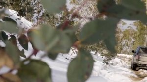 Range Rover IV проблемы | Надежность Ленд ровер Рендж Ровер 4 с пробегом