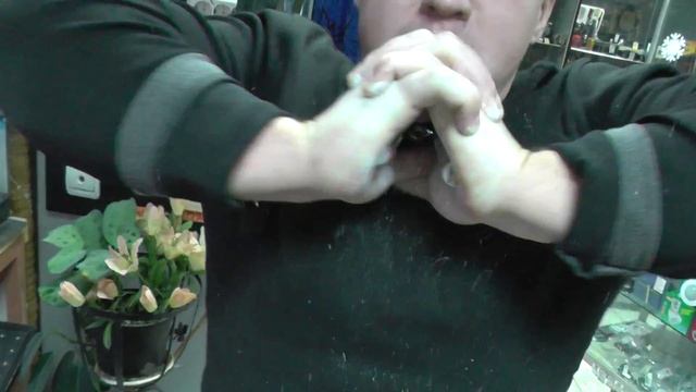 Саша Зайцев закрывает чест крашем GHP Level 10 на 9 раз смотреть онлайн