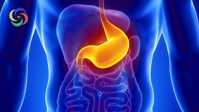 422Hz Powerful Stomach Disorders Treatment  | Intestine Healing Sound Therapy | Stomach Pain Relief