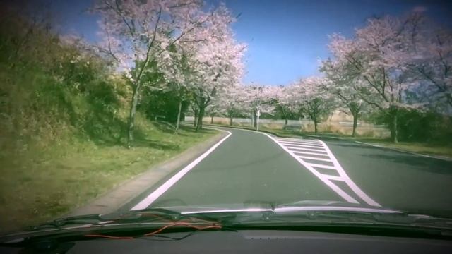 TOYOTA CELICA ZZT231 JDM Waltz of the flowers cherry blossoms ver2 смотреть онлайн