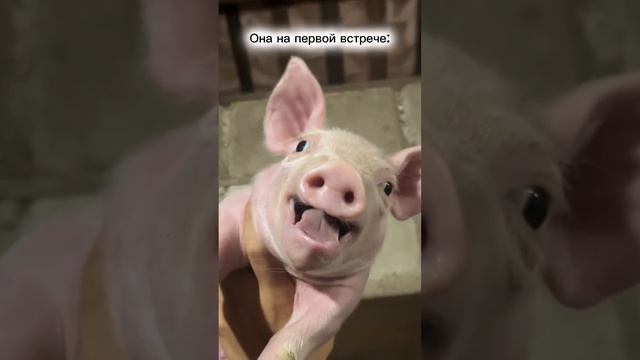 Мужчина с юмором