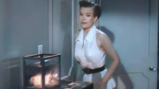 My Little Margie s1e11 The Contract, Colorized, Gale Storm, Hillary Brooke, Sitcom смотреть онлайн