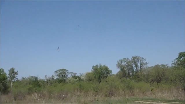 RC Helicopter ALIGN T-Rex 500 DFC | радиоуправляемый вертолет Т-Рекс 500 смотреть онлайн