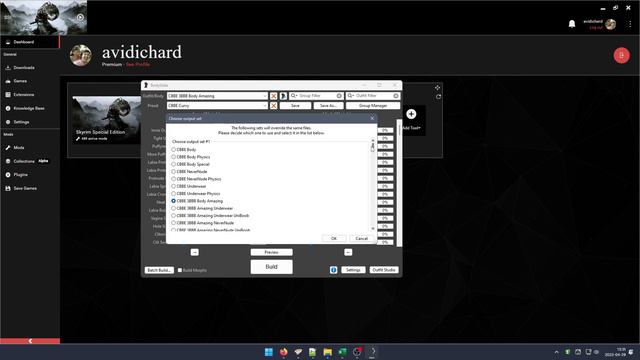 3BA RFBBT - 3BA Bodyslide Batch Generation