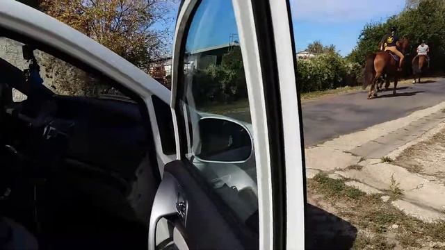 Бигль готовится к охоте (биглиная охота ) смотреть онлайн