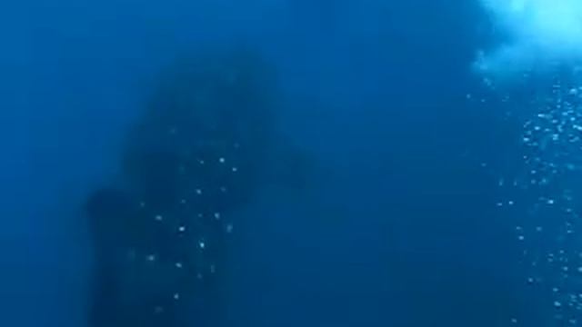 May23,2010 jinbei-3.m4v смотреть онлайн