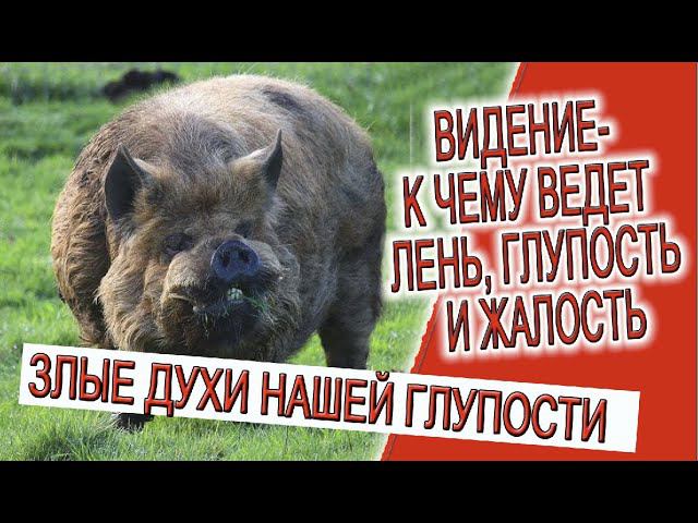 Видение - Духи из прошлого, к чему ведут лень, глупость и жалость! смотреть онлайн