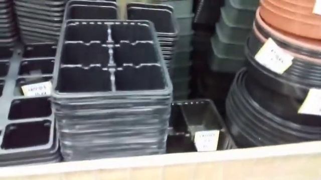 Поездка по магазинам. Покупки