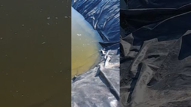 Бассейн для рыбы))) смотреть онлайн