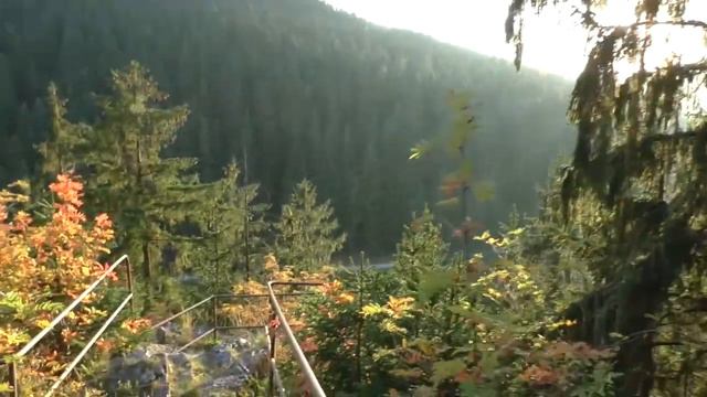 Thüringer Wald. Тюрингские леса