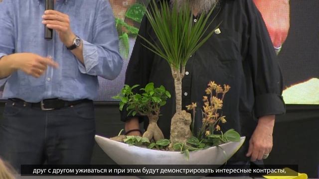 Настольная композиция из горшечных растений в кашпо Nobilis Marco смотреть онлайн