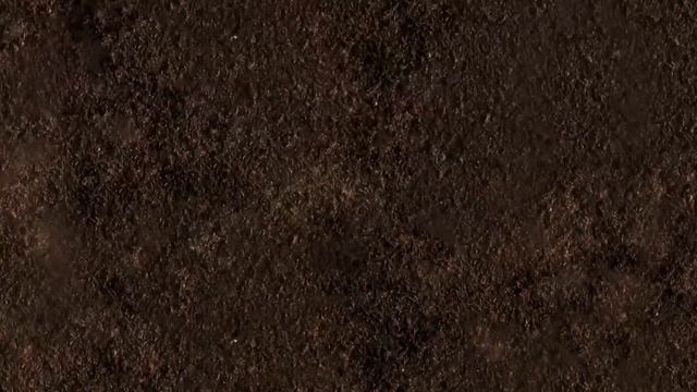 Study dinosaur bone fossils|What shape are dinosaur bones?|What did the dinosaurs eat?|공룡의 뼈 화석 모음집 смотреть онлайн