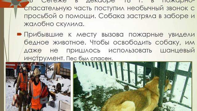 Арина Чекурова Современные герои ПЛТТ — Созвездие мужества смотреть онлайн